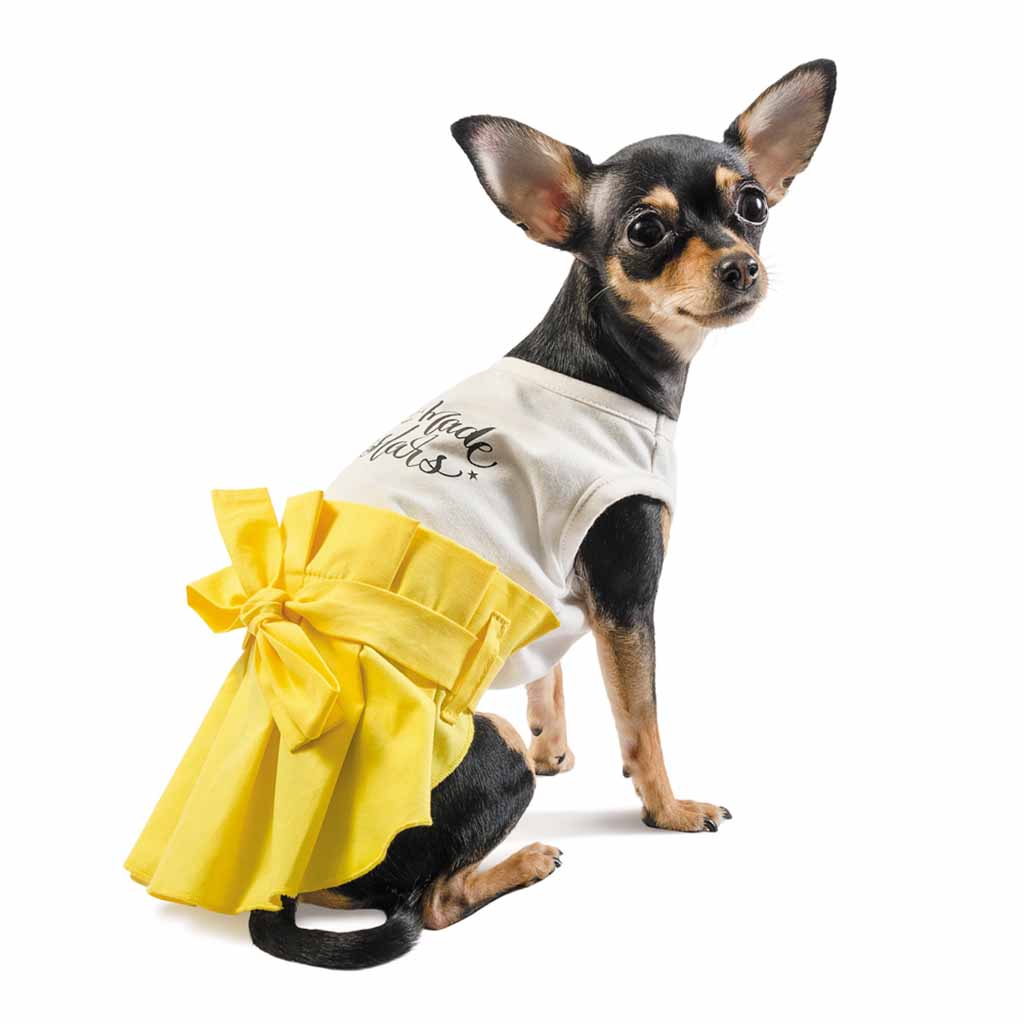 Платье для собак Pet Fashion Ева желтое 2019