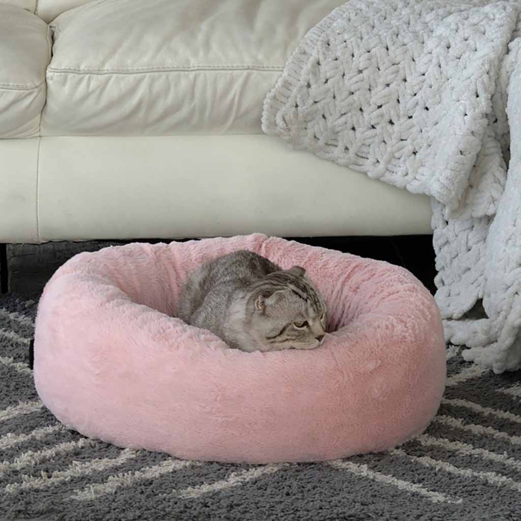 Какие бывают лежаки для кошек
