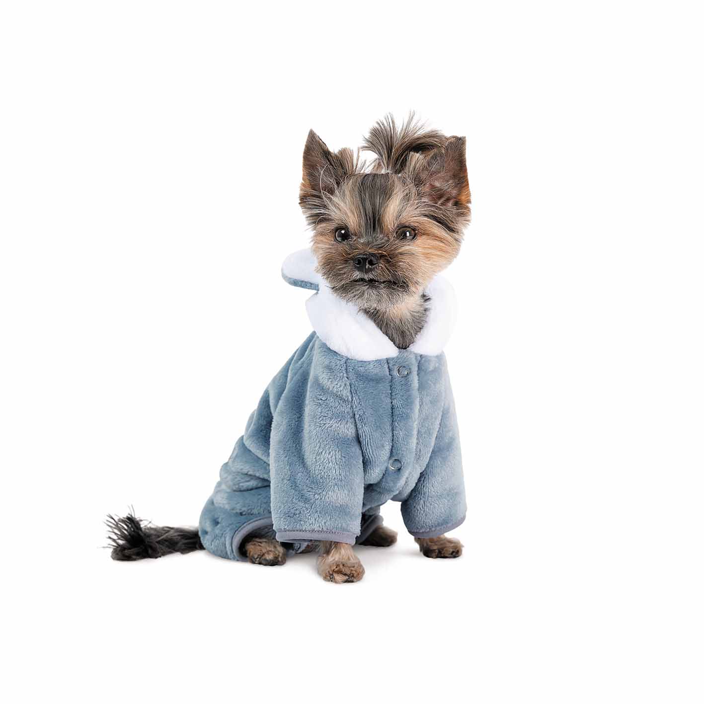 Костюм для собак Pet Fashion ALF індиго - Зображення 3