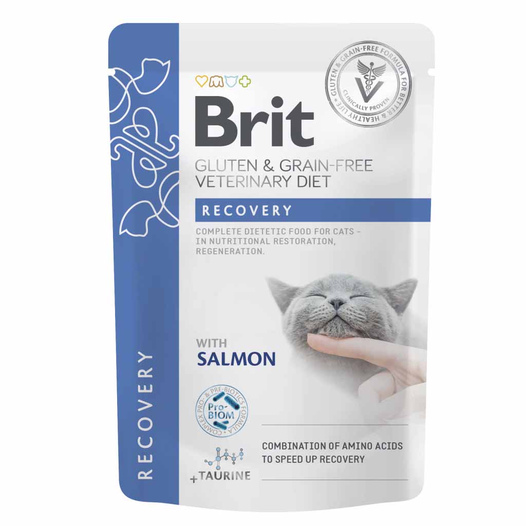 Вологий корм для котів Brit GF VetDiet Renal з лососем