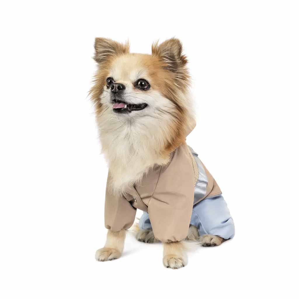 Дощовик для собак дівчаток Pet Fashion Tina - Зображення 2