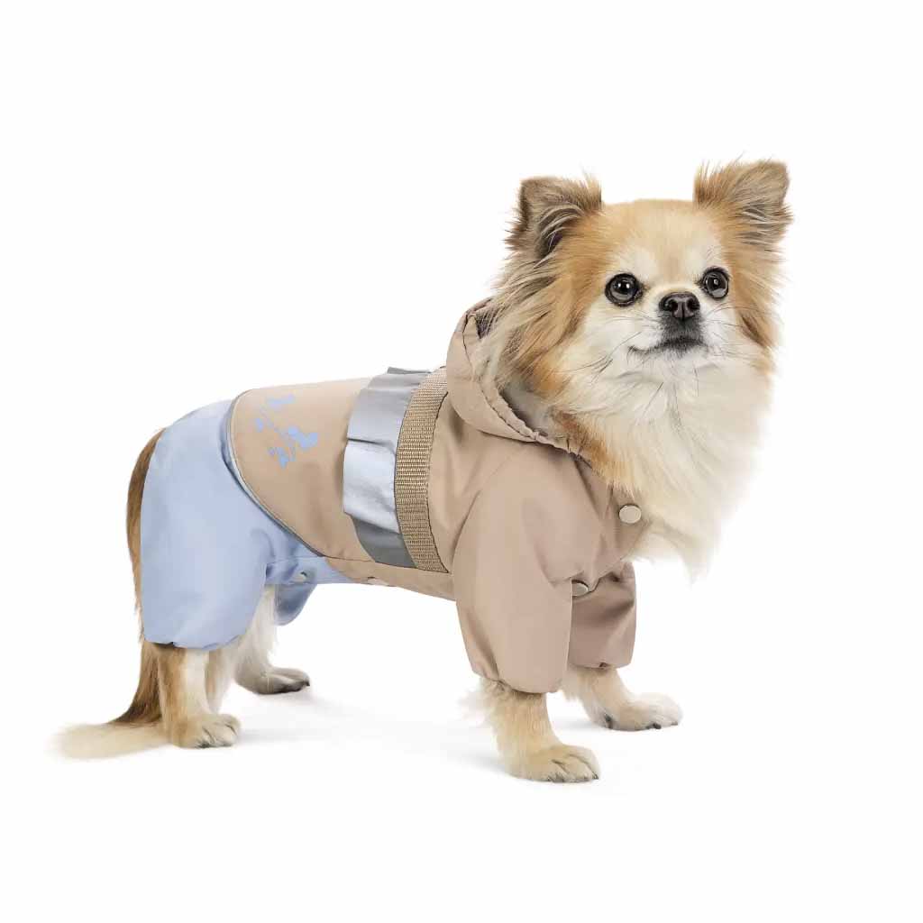 Дощовик для собак дівчаток Pet Fashion Tina