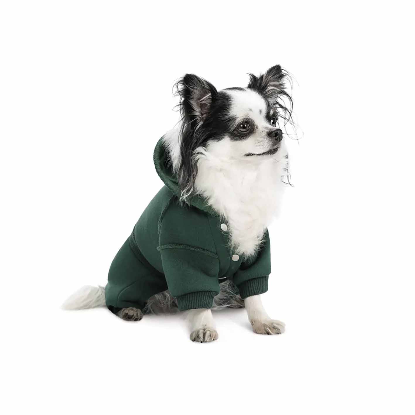 Костюм для собак Pet Fashion Berry осінь 2024 - Зображення 2
