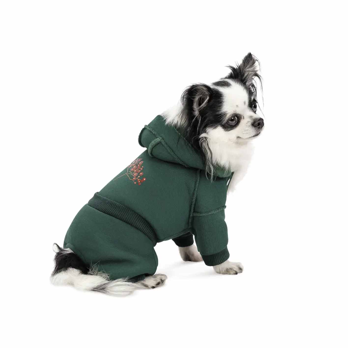 Костюм для собак Pet Fashion Berry осінь 2024