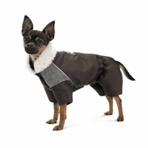 Костюм для собак Pet Fashion Locky зима 2024