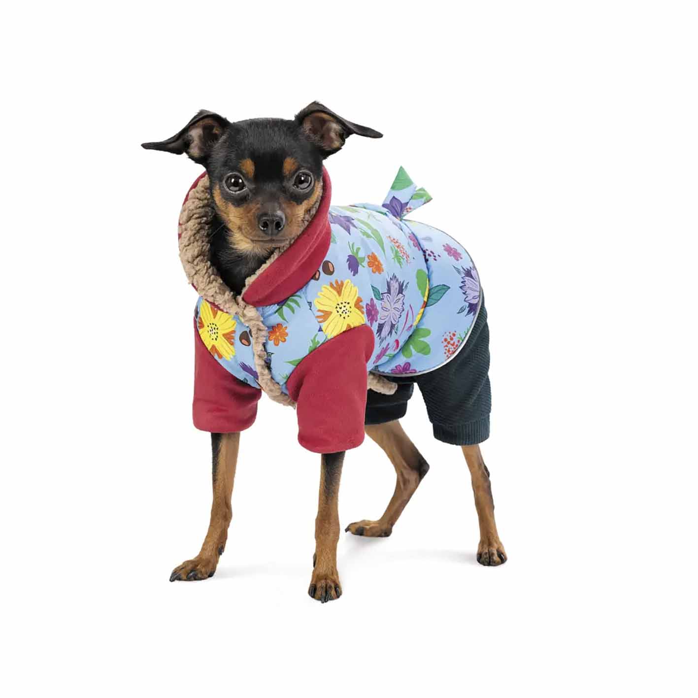 Костюм для собак дівчаток Pet Fashion Alisa осінь 2024 - Зображення 2