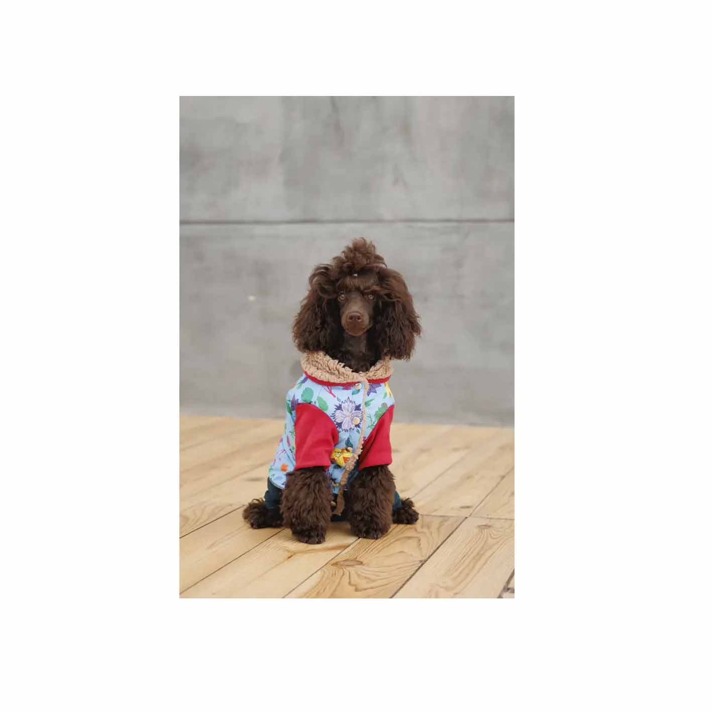 Костюм для собак дівчаток Pet Fashion Alisa осінь 2024 - Зображення 4