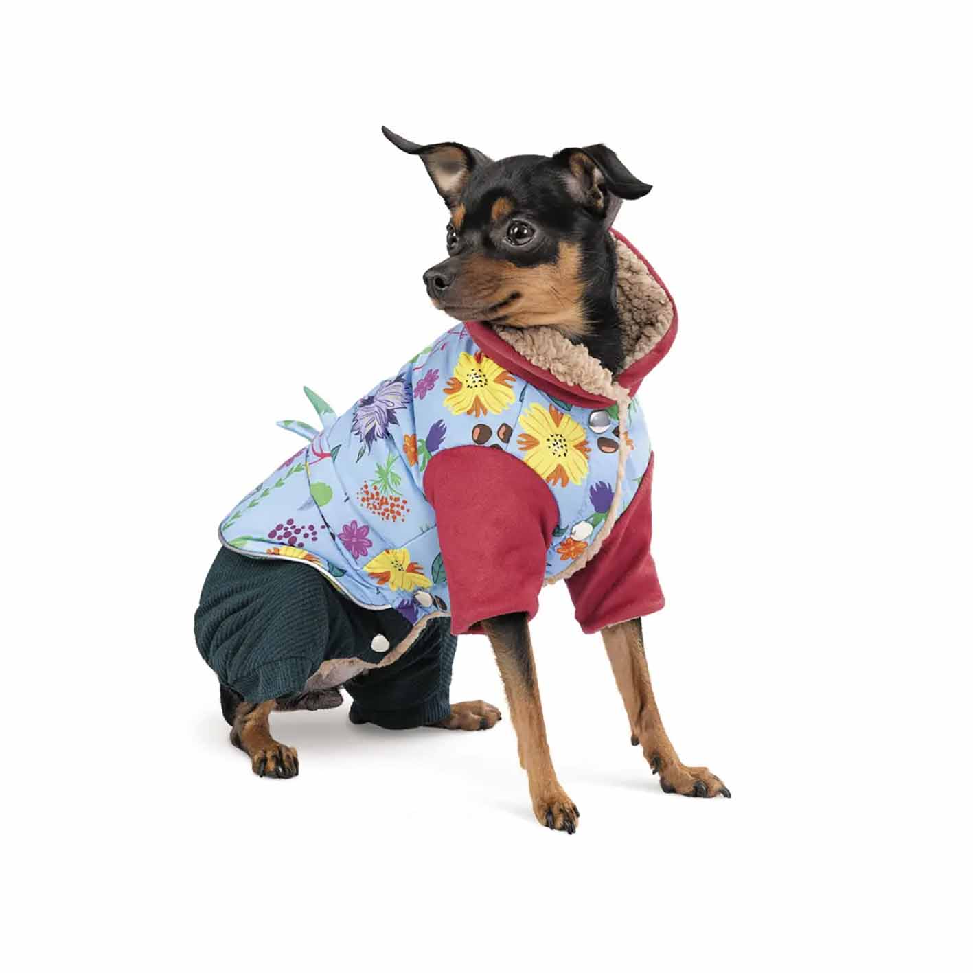 Костюм для собак дівчаток Pet Fashion Alisa осінь 2024