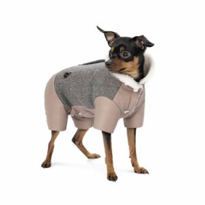 Костюм для собак дівчаток Pet Fashion Twiddy зима 2024