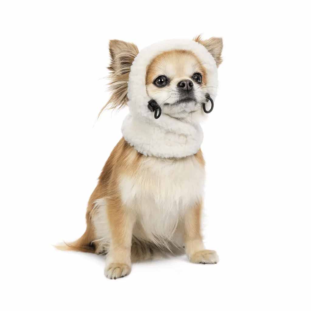 Шапка для собак Pet Fashion Teddy 2024