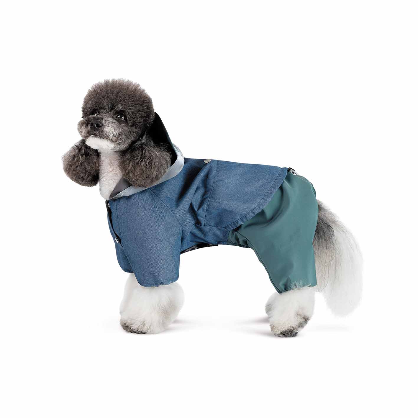 Дощовик для собак Pet Fashion Mason
