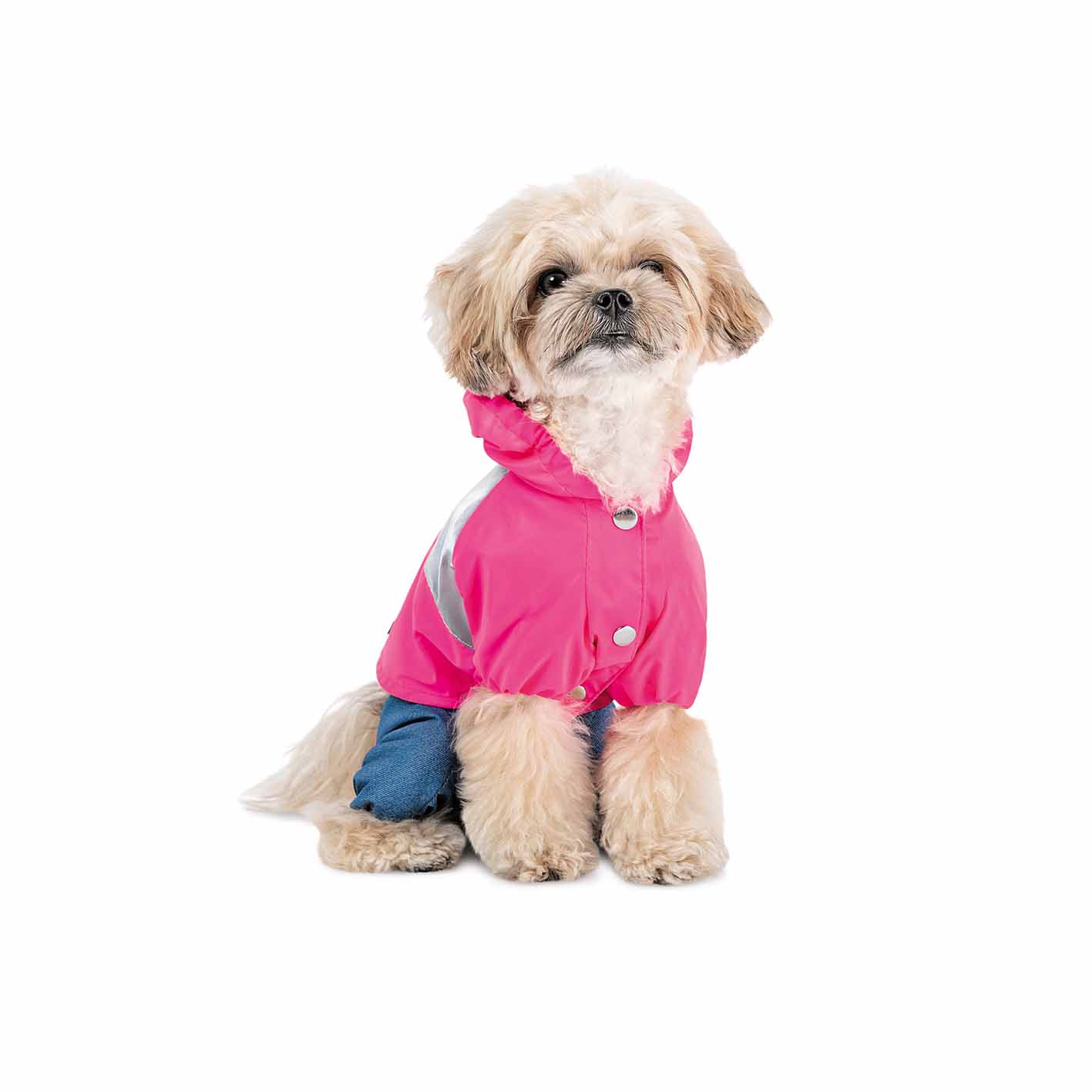 Дощовик для собак дівчаток Pet Fashion Betty - Зображення 3