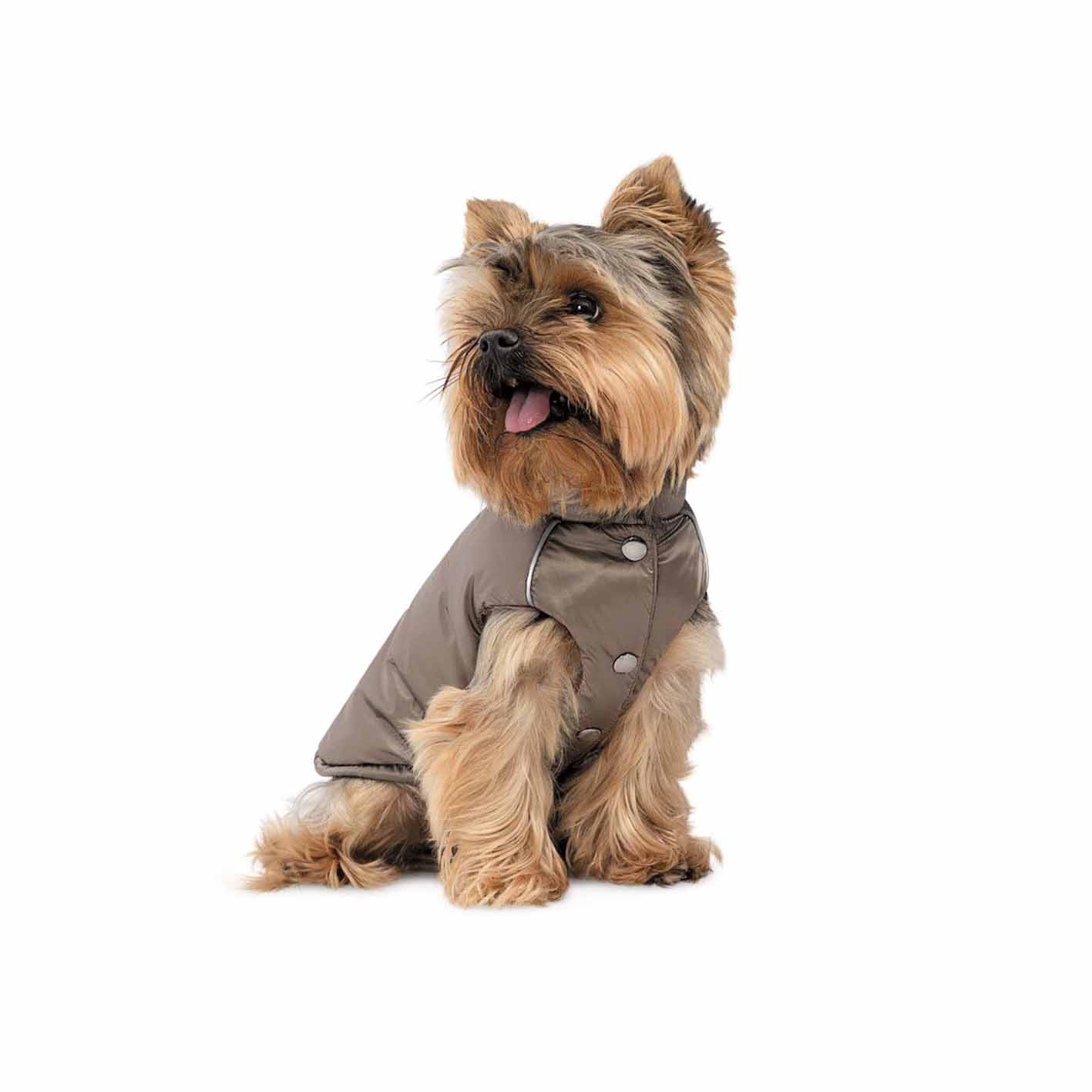 Жилет для собак Pet Fashion Hardy - Зображення 3
