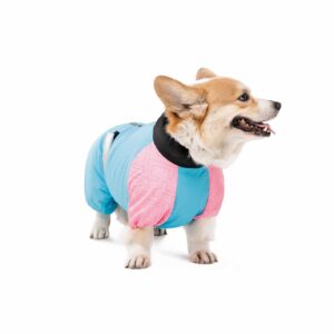 Комбінезон для собак дівчаток Pet Fashion Milly