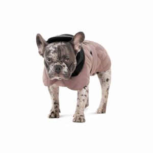 Попона для собак Pet Fashion Max