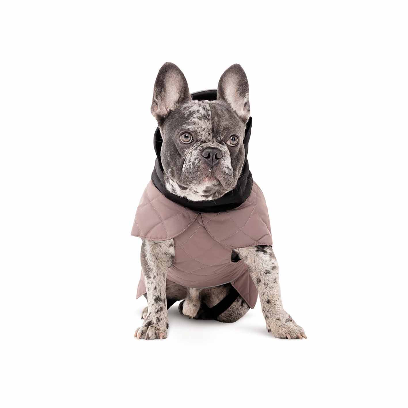 Попона для собак Pet Fashion Max - Зображення 4