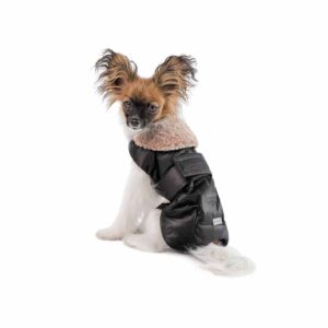 Попона для собак Pet Fashion Ted