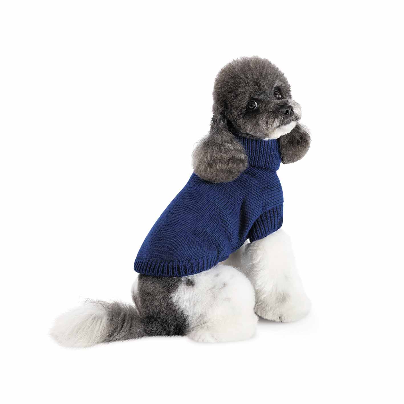 Светр для собак Pet Fashion Sam синій
