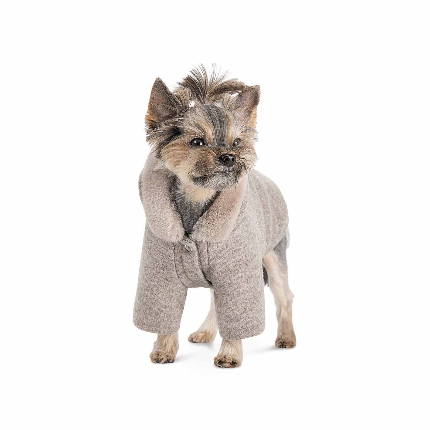 Толстовка для собак Pet Fashion Flex - Зображення 3
