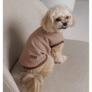 Жилет для собак Pet Fashion Funny